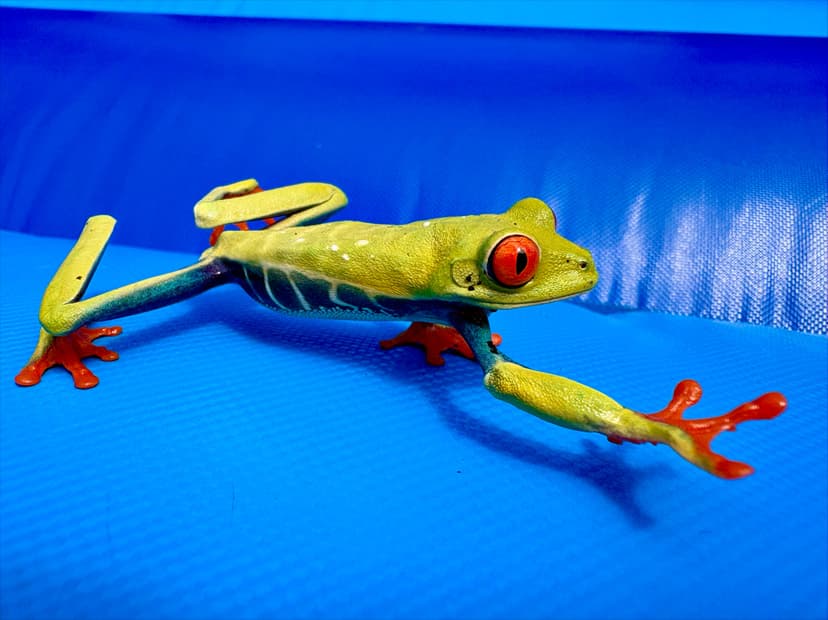 A green frog with red eyes and orange feet on a blue background